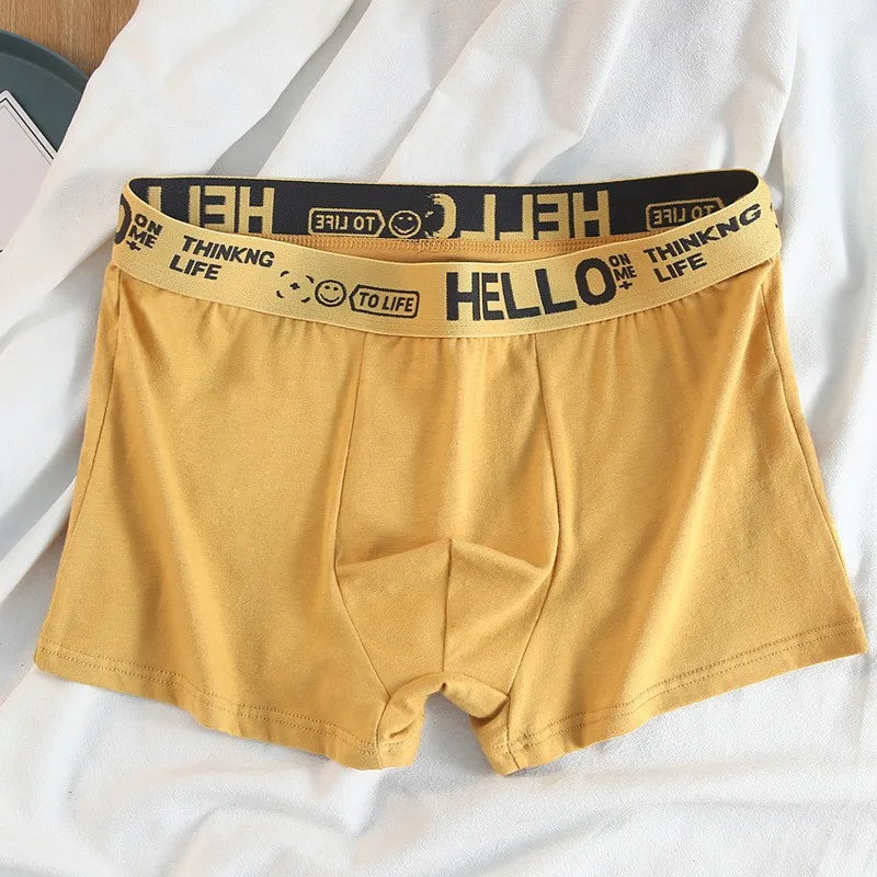 1-5PCS Men's underwear Breathable and comfortable quick drying elastic boxing shorts Men's underwear boxers