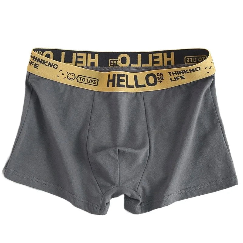 1-5PCS Men's underwear Breathable and comfortable quick drying elastic boxing shorts Men's underwear boxers