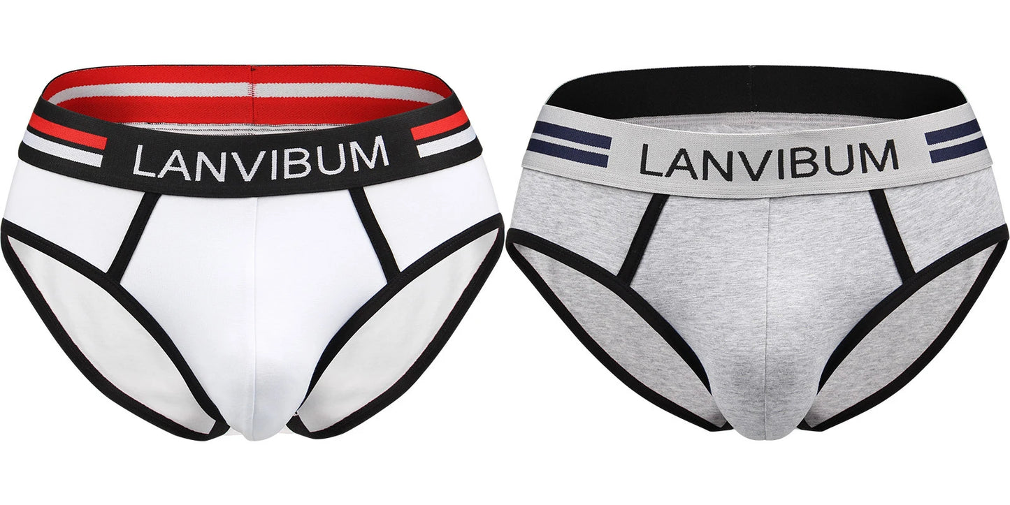 2-piece set - cotton men's underwear briefs breathable youth mid-waist large-size men's underwear underwear summer briefs