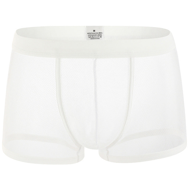 Men's Underwear Mesh Mesh Breathable Boxers Low Waist Transparent Boxers Youth Cool Shorts