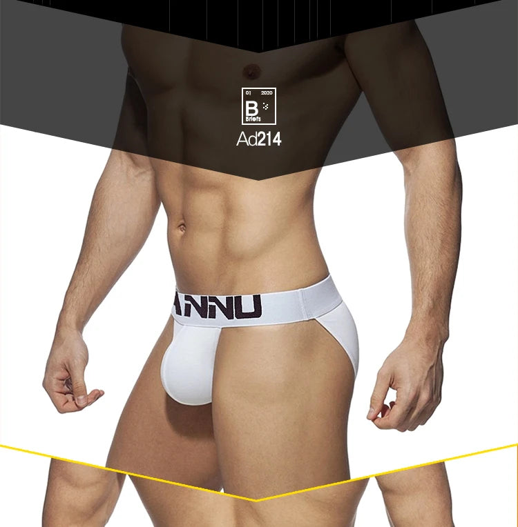 Men Underwear Sexy Men's Briefs Cotton Panties Breathable Ropa Interior Cueca Brief bikini Underpants Low Waist U Pouch AD214