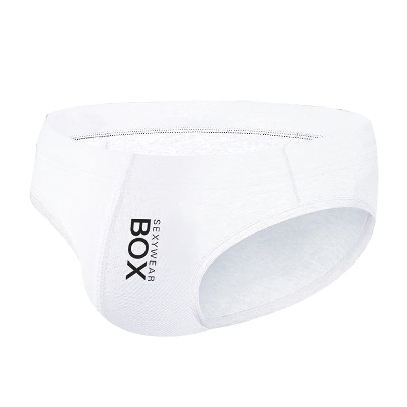 Men Underwear Sexy Men's Briefs Cotton Panties Breathable Ropa Interior Cueca Brief bikini Underpants Low Waist U Pouch AD214