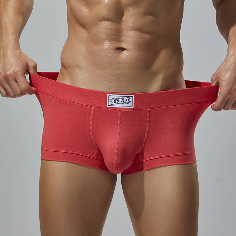 Men Sexy Underwear Boxer Briefs Comfortable Breathable Low Rise Intimates Hot Stretch Male Boxershorts Teenage Underpants