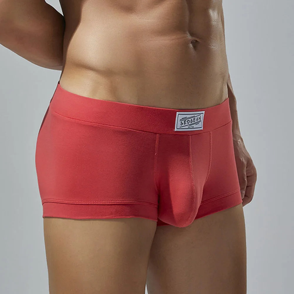 Men Sexy Underwear Boxer Briefs Comfortable Breathable Low Rise Intimates Hot Stretch Male Boxershorts Teenage Underpants