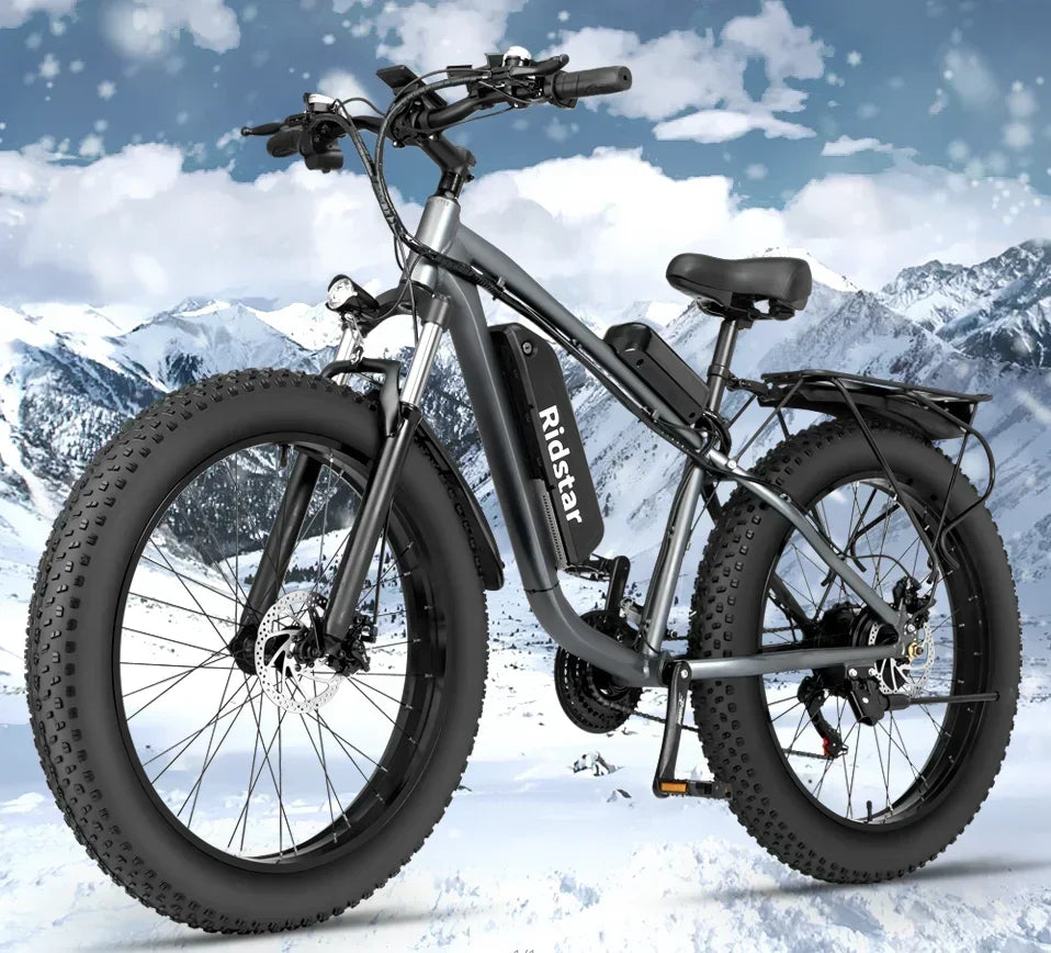 Electric Bicycle 2000W Dual Motor 48V 23AH Battery 20*4.0Inch Fat Tire Mountain Electric Bike Folding E bike