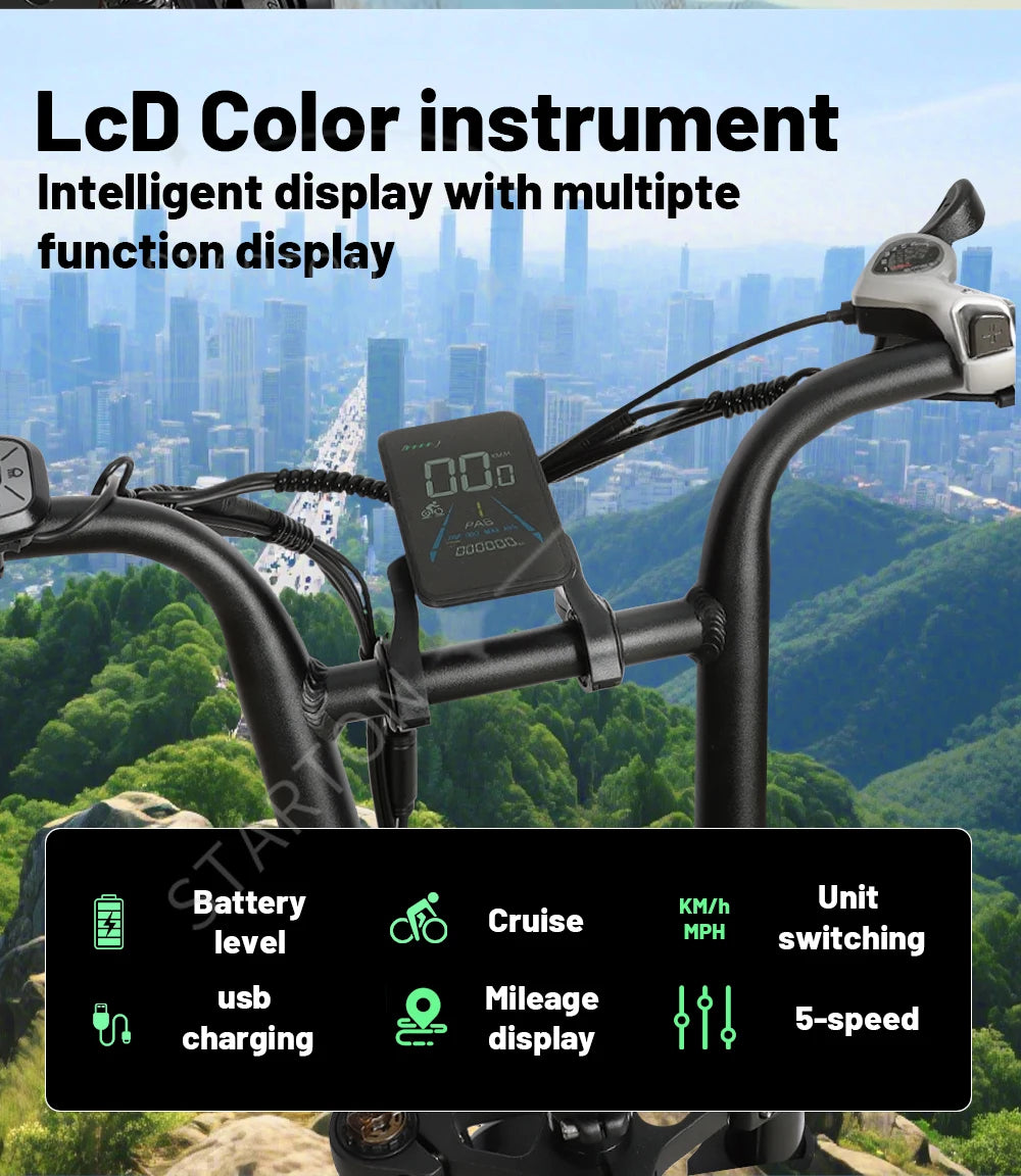 2000W 48V 20AH 20X4.0 Fat Tires, Aluminum Alloy Frame, Adult Electric Bicycle, Foldable, Hydraulic Brake