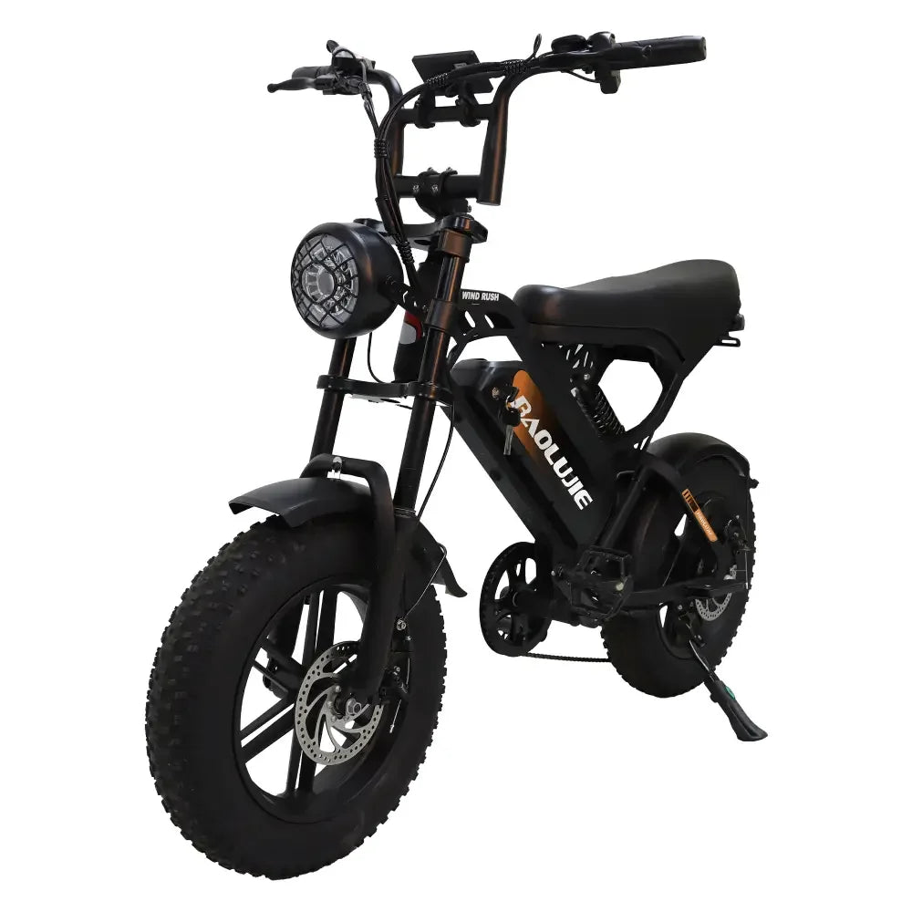 BAOLUJIE Peak 3000W/5000W Dual Motor Electric Bicycle  E-Bike for Adults，Electric Motorcycle 48V/52V Battery，Max Speed 38 MPH