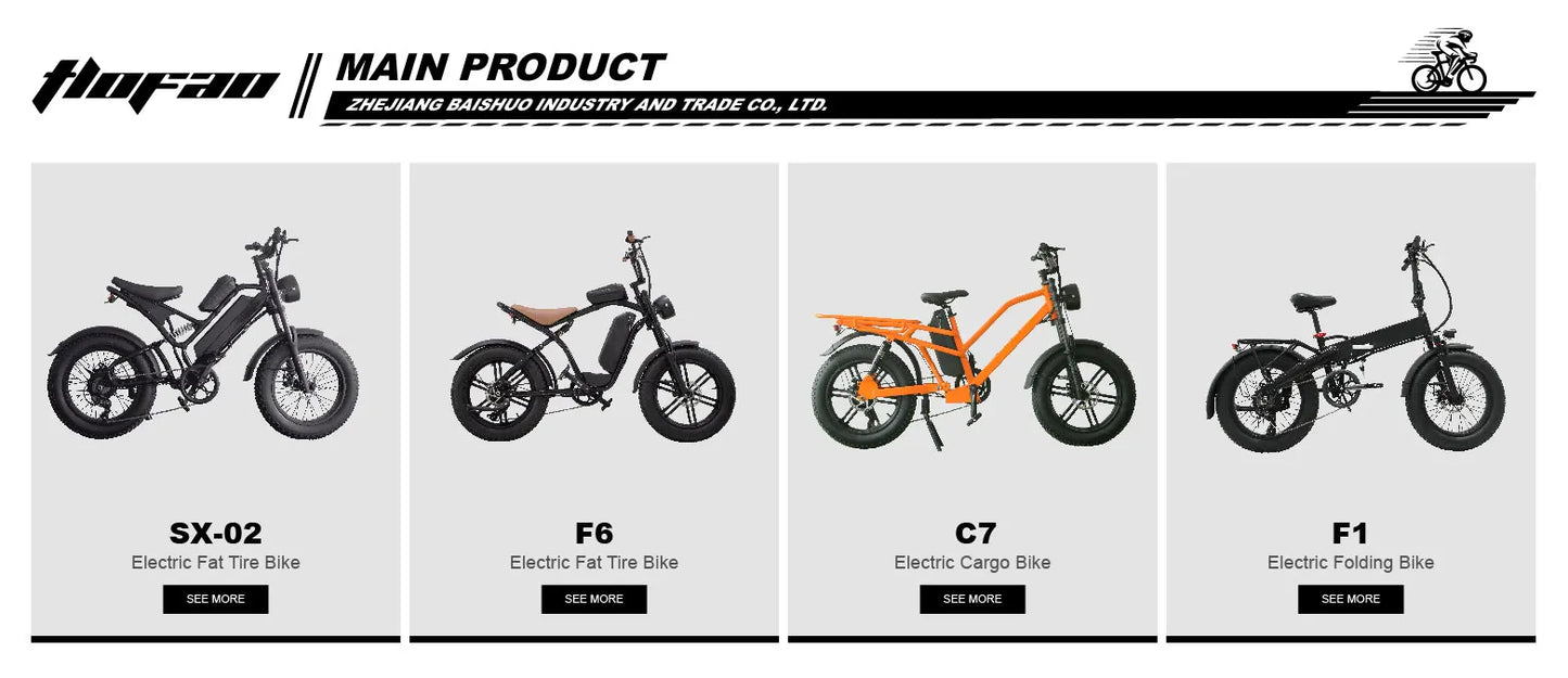 48V 22.4ah motor 1000 watts battery cycle fat tire electric bicycle electronic lithium battery rear hub motor 21 speed