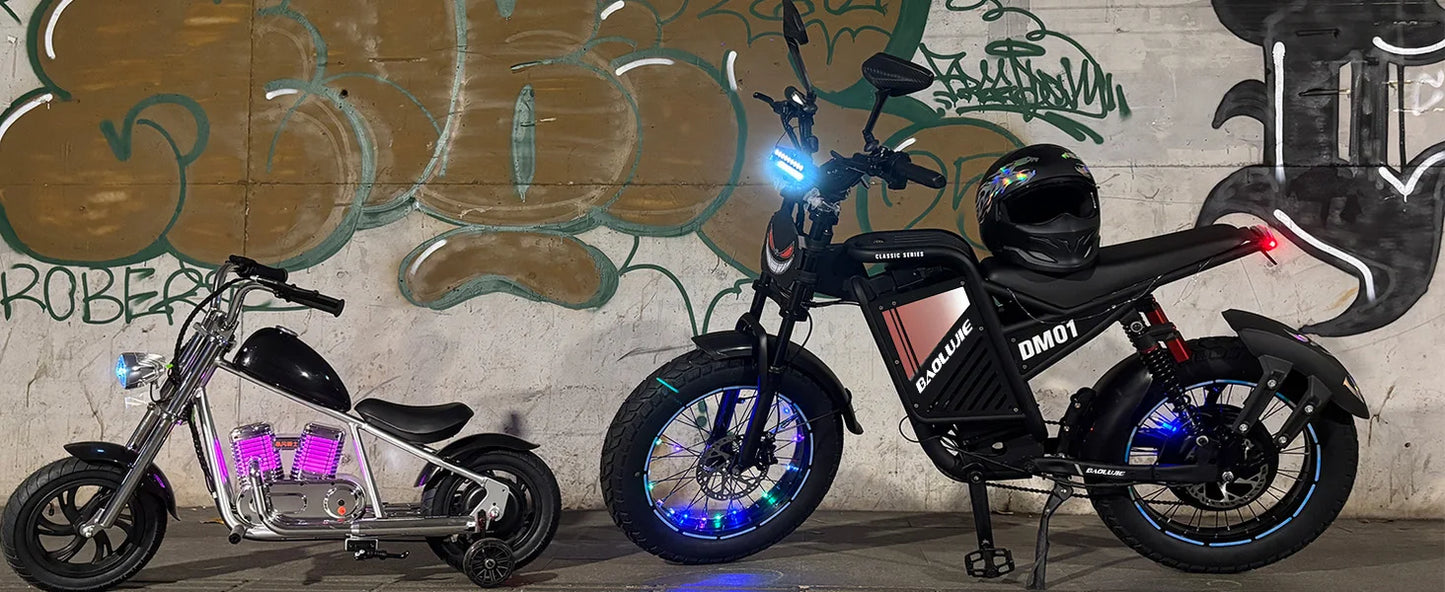 OEM DM01 Electric Motorcycles Peak 3000W Brushless Gearless Motors 60V 30AH Lithium Battery Max Speed 42MPH Adult Off Road Ebike