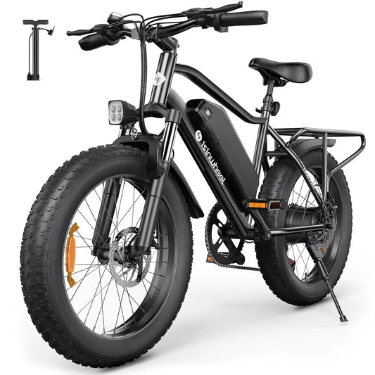 M10 Pro Electric Bike, 1000W Peak Motor, 22 MPH 20"x4" Fat Tire Ebike, USB Phone Charging Port, 10.4Ah Removable, Customized