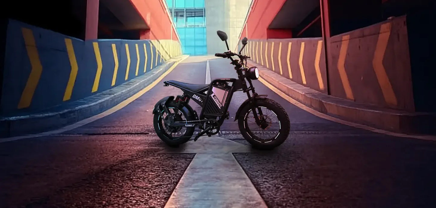 BAOLUJIE DM01 Electric Motorcycle 2000W Moto Electric Bicycle 60V30AH Battery Color Display 42 MPH EBike UL2849【1 Year Warranty】