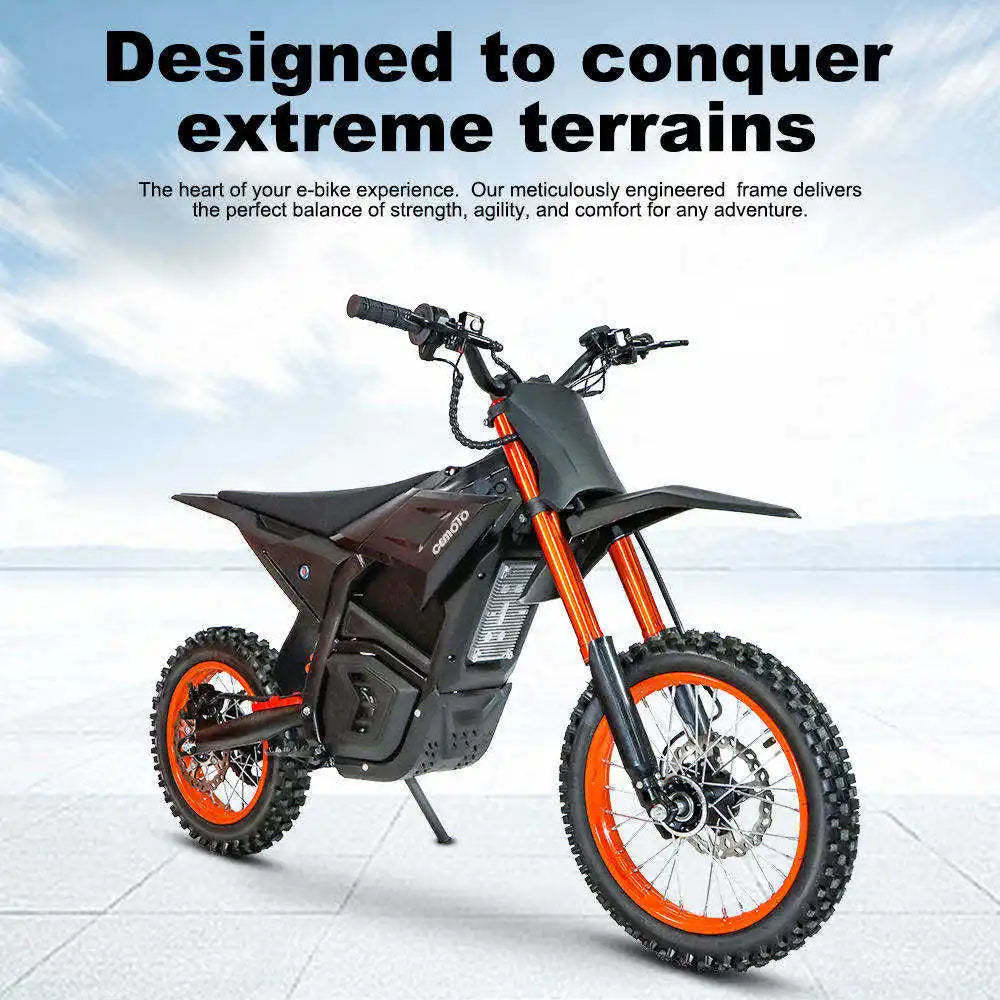 Electric Dirt Bike 3000W  14 mountion ebike Hydraulic Brakes Off-Road Ebike  48V Battery for Age 13+