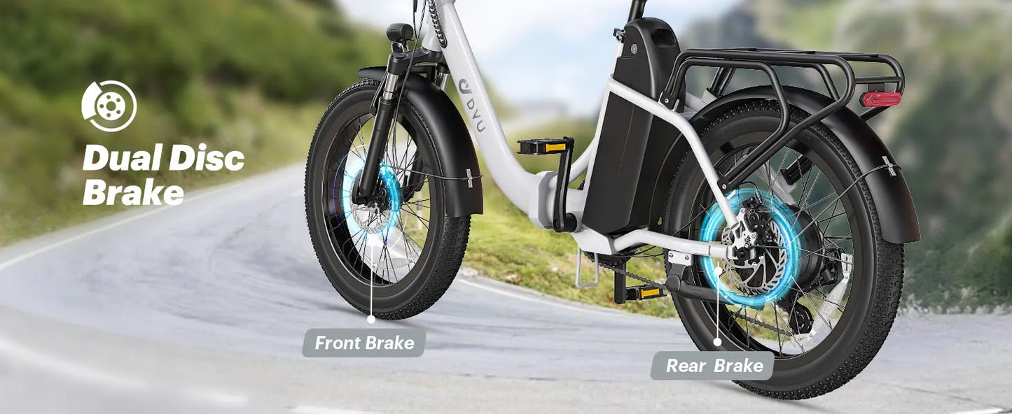 DYU C9 Electric Bicycle Peak 1000W Motor 48V15.6AH Lithium Battery Electric Bike Hydraulic Brake 20*3.0 Inch Fat Tire E-bike