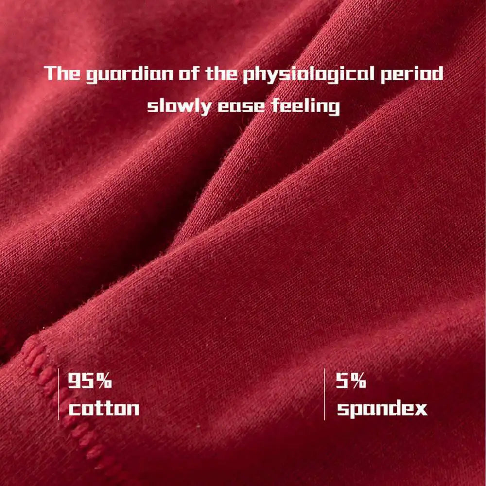 Very Abundant Menstrual Panties Woman Breathable Women's cotton briefs Low Waist Physiological Period Underwear For Women