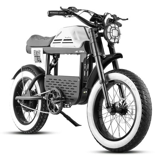 1700W Electric Dirt Bike 48V 30Ah 36MPH 90Mile Range 20In Fat Tire Dual Disc Hydraulic Brakes Adult Off Road, Customized