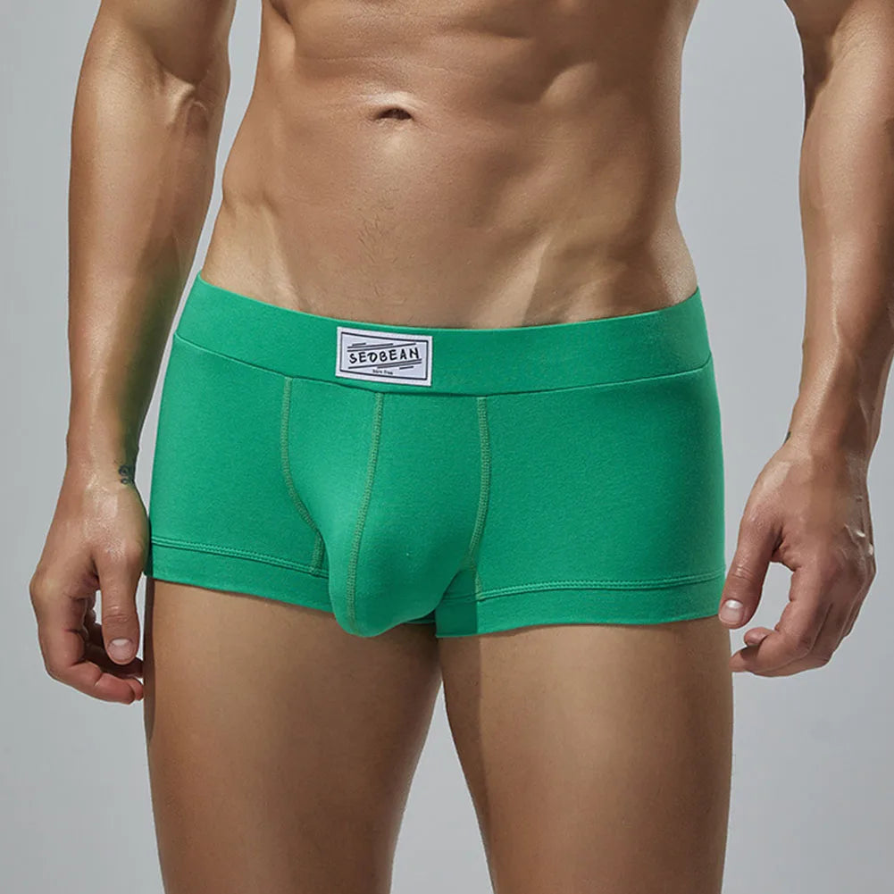 Men Sexy Underwear Boxer Briefs Comfortable Breathable Low Rise Intimates Hot Stretch Male Boxershorts Teenage Underpants