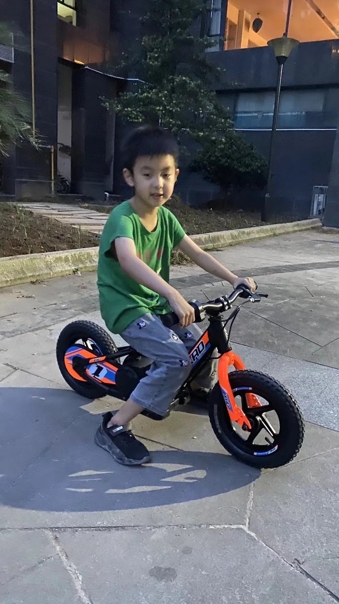 12-inch Children's Electric Bicycle Outdoor Off-road Portable Shock-absorbing Scooter