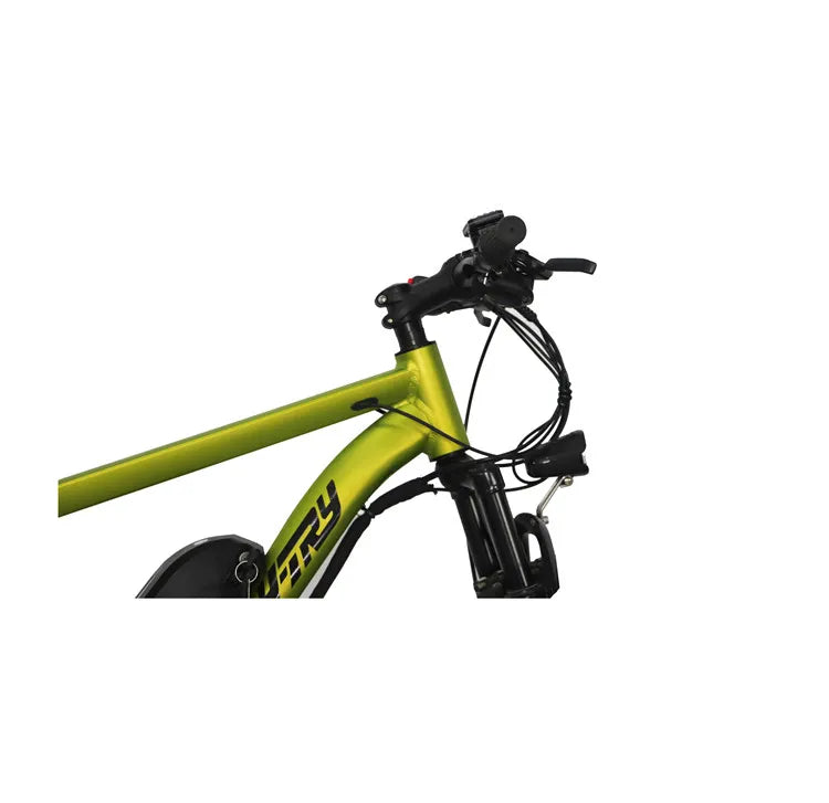 Electric Mountain Bike Electric Bicycle New Design China Factory E Bike 48v 750w 26 Inch Steel Lithium Battery Rear Hub Motor