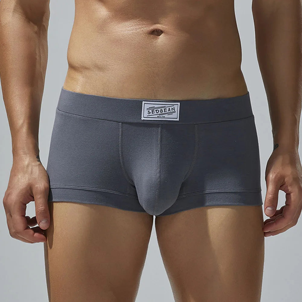 Men Sexy Underwear Boxer Briefs Comfortable Breathable Low Rise Intimates Hot Stretch Male Boxershorts Teenage Underpants