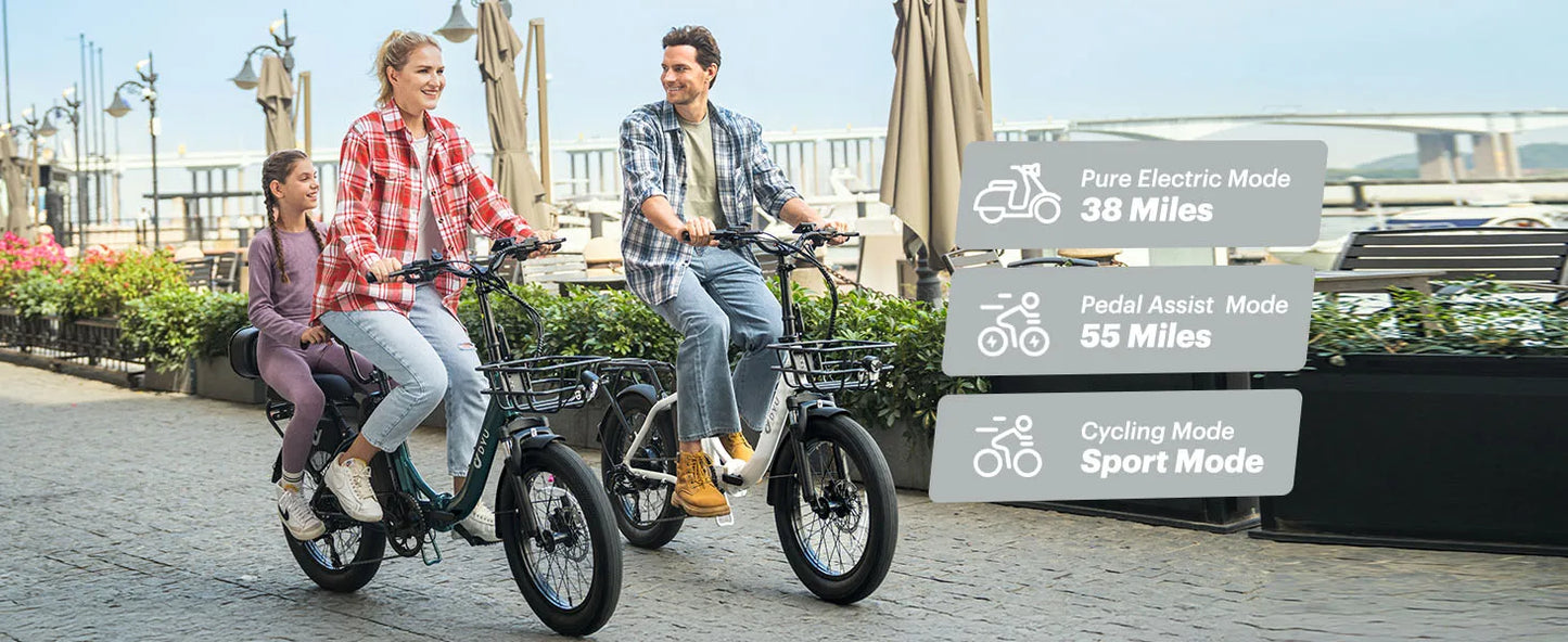 DYU C9 Electric Bicycle Peak 1000W Motor 48V15.6AH Lithium Battery Electric Bike Hydraulic Brake 20*3.0 Inch Fat Tire E-bike