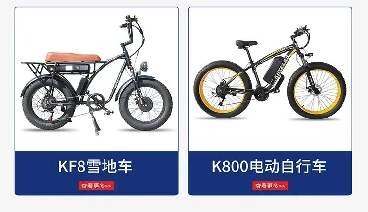 Y Motorcycle for Adult 2000W Dual Motor 48V 23AH Fat Tire Hydraulic Brake Soft Tail Frame Hydraulic Big Front Fork Ebike
