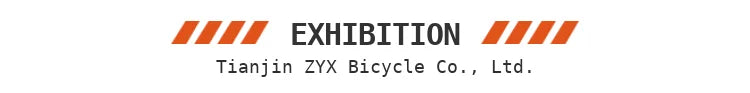 E MTB ETB Bike 48V 750W Carbon Full Suspension Bike Midmotor 750KW Electric Mountain Bike Bicycle