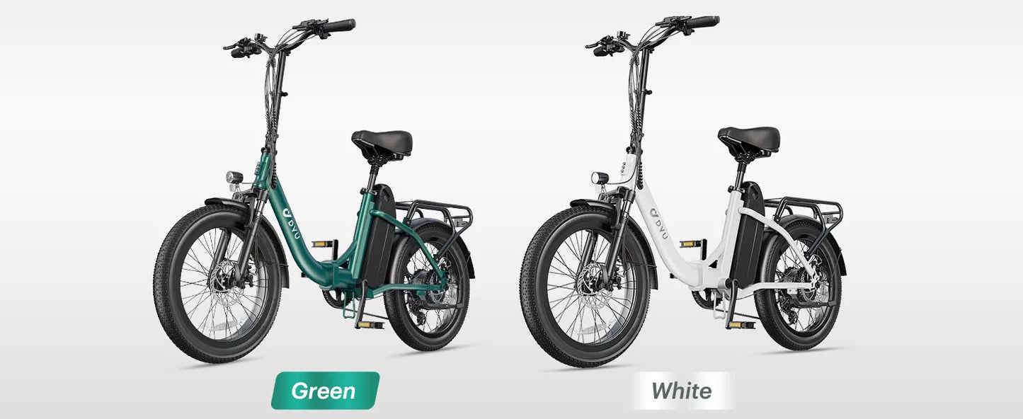 DYU C9 Electric Bicycle Peak 1000W Motor 48V15.6AH Lithium Battery Electric Bike Hydraulic Brake 20*3.0 Inch Fat Tire E-bike