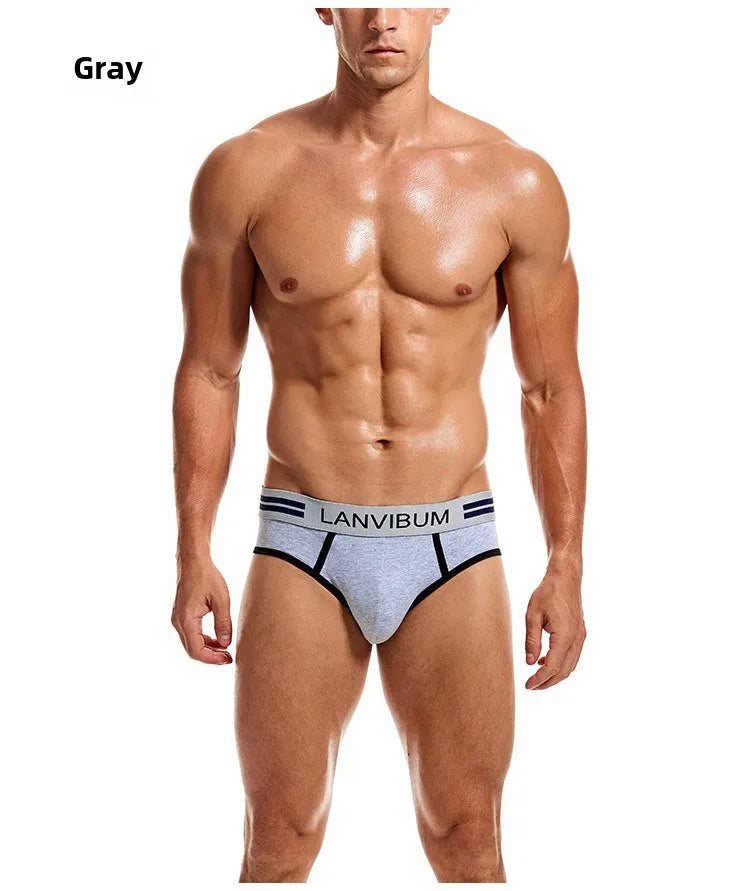 2-piece set - cotton men's underwear briefs breathable youth mid-waist large-size men's underwear underwear summer briefs