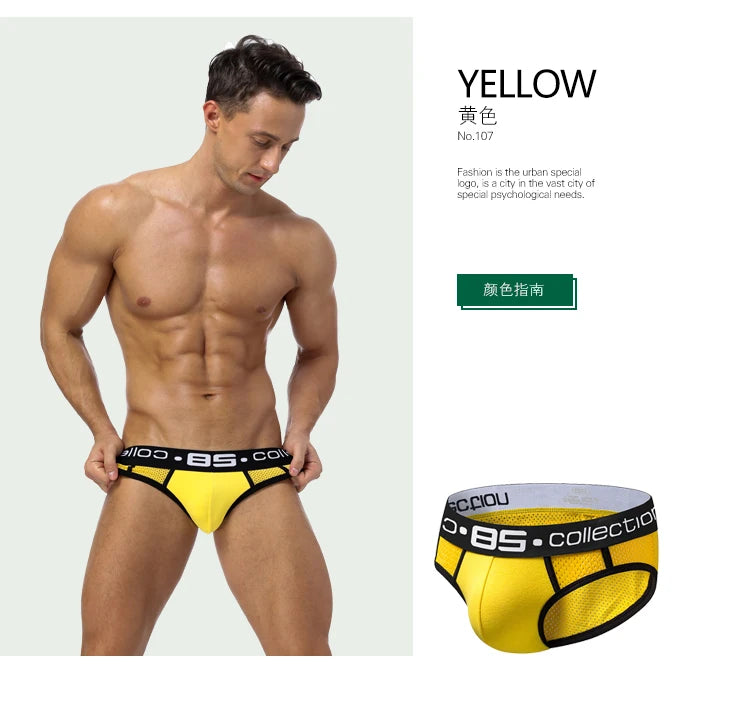 Men Underwear Mesh Qucik-Dry Sexy Men Briefs Breathablen Men Slip Cueca Male Panties Underpants Briefs Spring Summer
