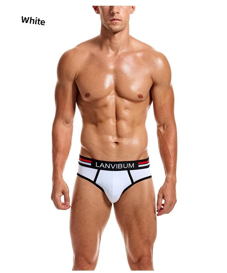 2-piece set - cotton men's underwear briefs breathable youth mid-waist large-size men's underwear underwear summer briefs