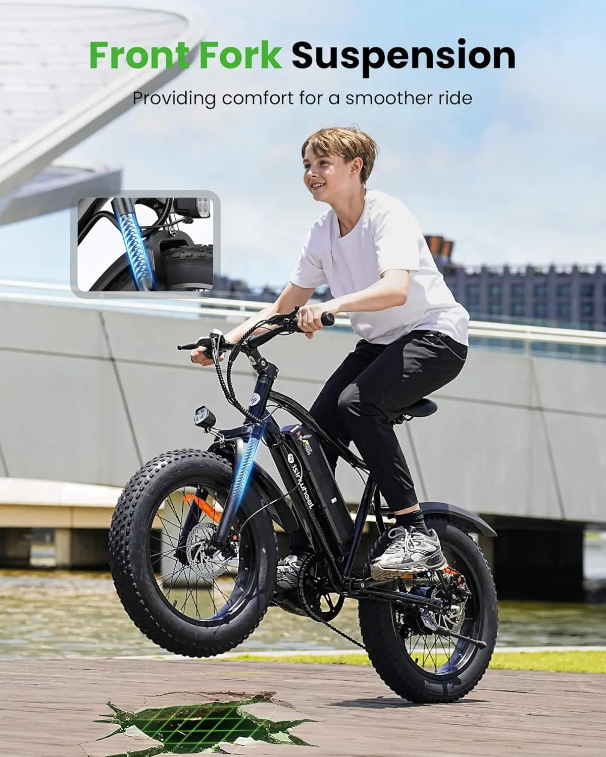 M10 Pro Electric Bike, 1000W Peak Motor, 22 MPH 20"x4" Fat Tire Ebike, USB Phone Charging Port, 10.4Ah Removable, Customized