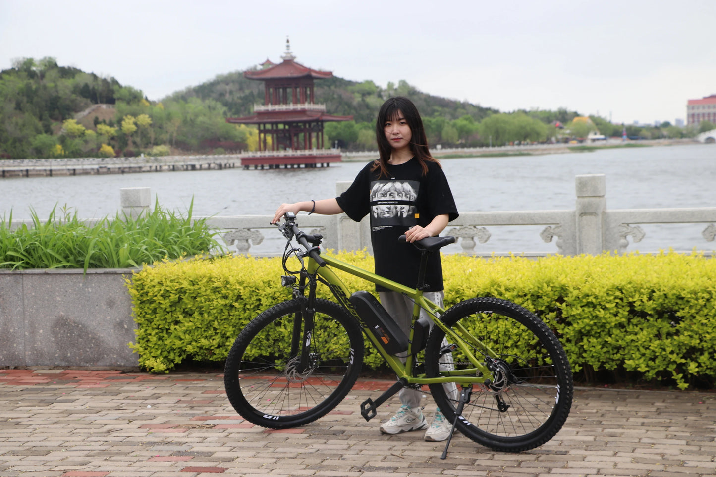 Electric Mountain Bike Electric Bicycle New Design China Factory E Bike 48v 750w 26 Inch Steel Lithium Battery Rear Hub Motor