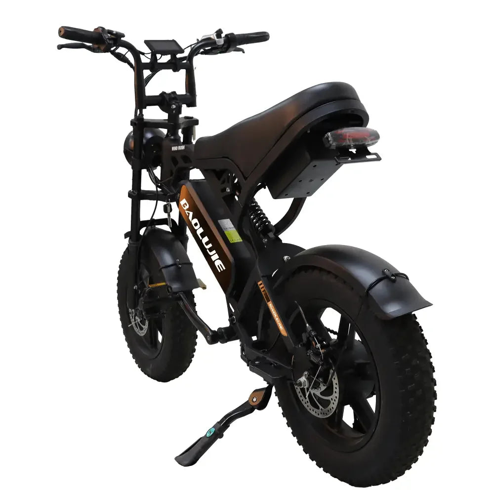 BAOLUJIE DM01 electric bicycle Moto Electric Bike for Adults 2000W Motor Electric Bike 60V30AH Moto 42MPH EBike【1 Year Warranty】