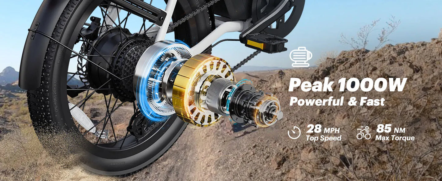 DYU C9 Electric Bicycle Peak 1000W Motor 48V15.6AH Lithium Battery Electric Bike Hydraulic Brake 20*3.0 Inch Fat Tire E-bike