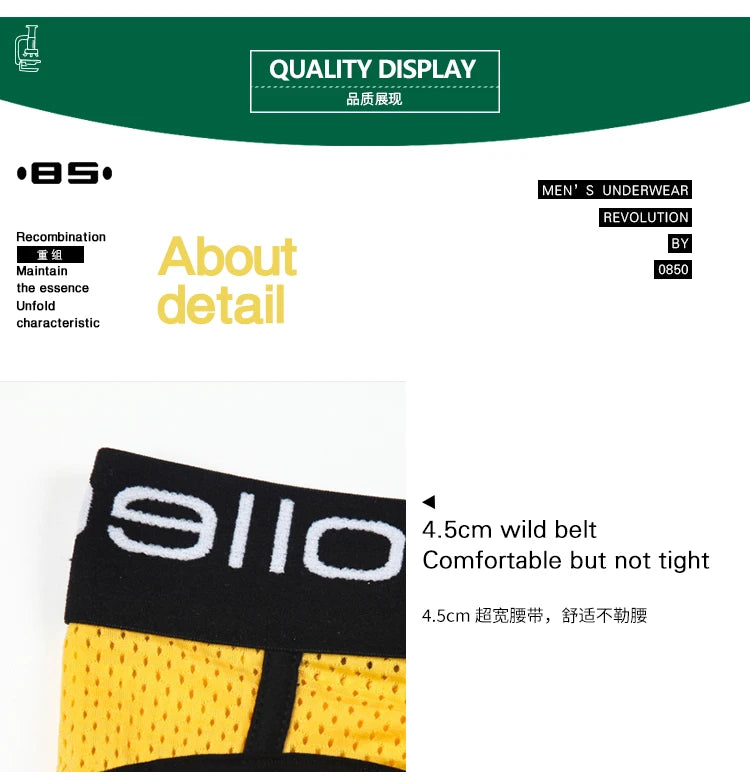 Men Underwear Mesh Qucik-Dry Sexy Men Briefs Breathablen Men Slip Cueca Male Panties Underpants Briefs Spring Summer