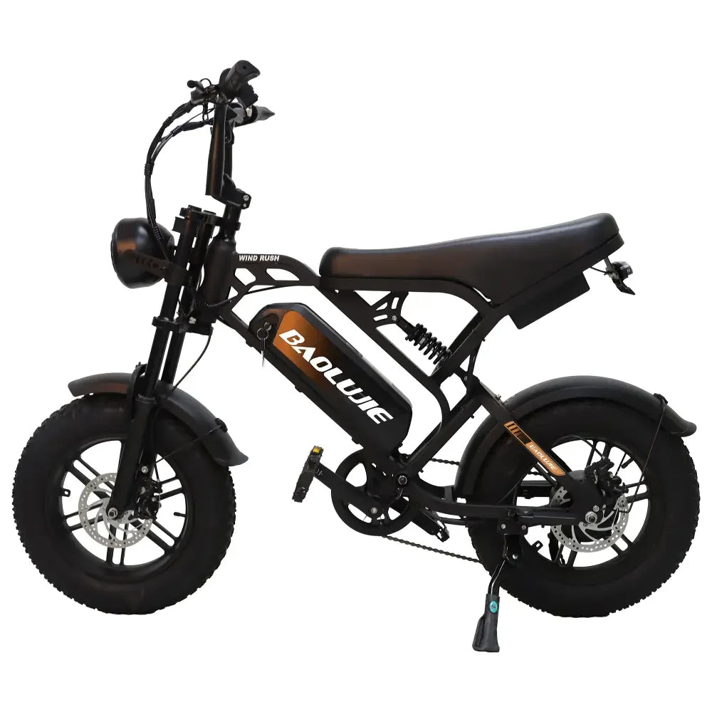 BAOLUJIE DM01 Electric Motorcycle 2000W Moto Electric Bicycle 60V30AH Battery Color Display 42 MPH EBike UL2849【1 Year Warranty】