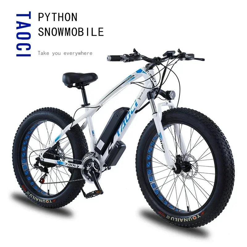 Electric bicycle AKEZ 750W motor 48v13ah battery Hydraulic Brake Electric bike 26 inch Fat tires mountain off-road riding e-bike