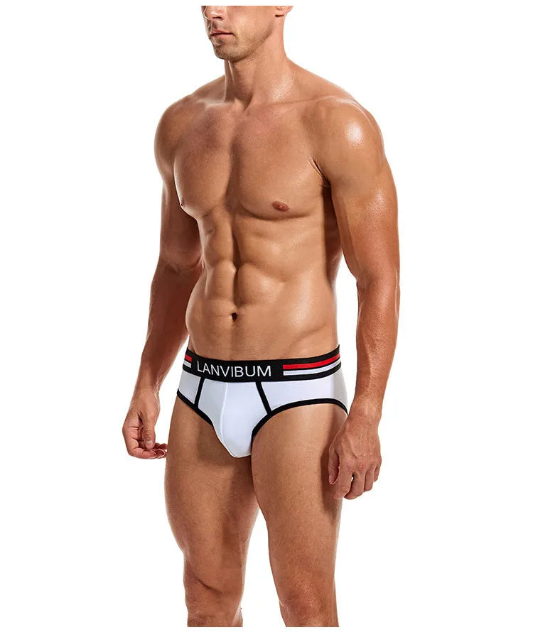 2-piece set - cotton men's underwear briefs breathable youth mid-waist large-size men's underwear underwear summer briefs