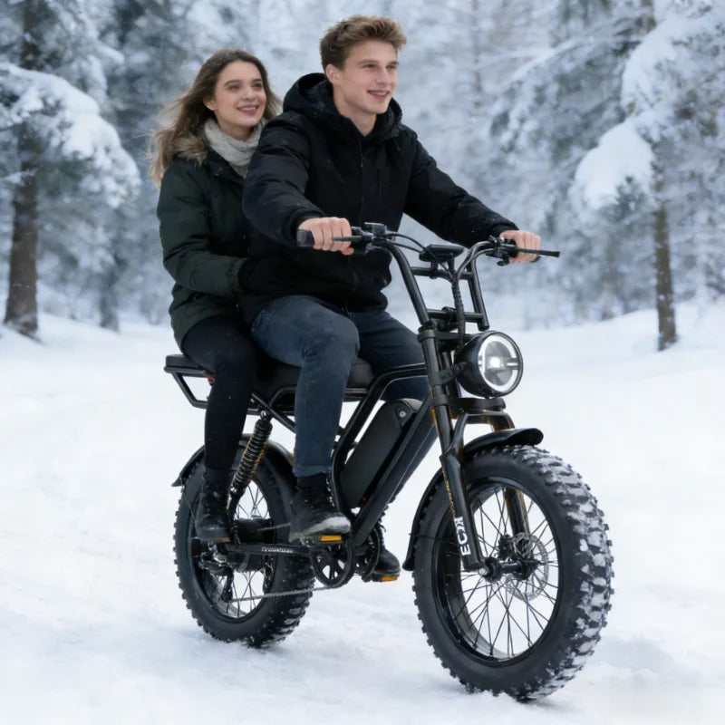 Thick Tire Electric Bike 1000w 2000w 20 26 Inch 30-50mph 30-60miles 48v Battery Factory Original,for Two Wheels Electric Bicycle