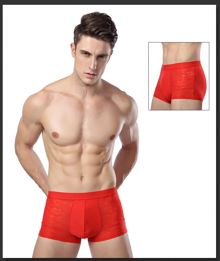 Men Boxer Underwear Sexy Ultra Thin Strectch See Through Panties Ice Silk Breathable Mid Waist Solid Underpants Male Briefs