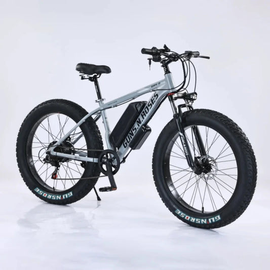 new Off-road Mountain commuter E-bike 45 Mph Max Speed 24" Fat Tire Hydraulic Disc Brake Electric Bicycle