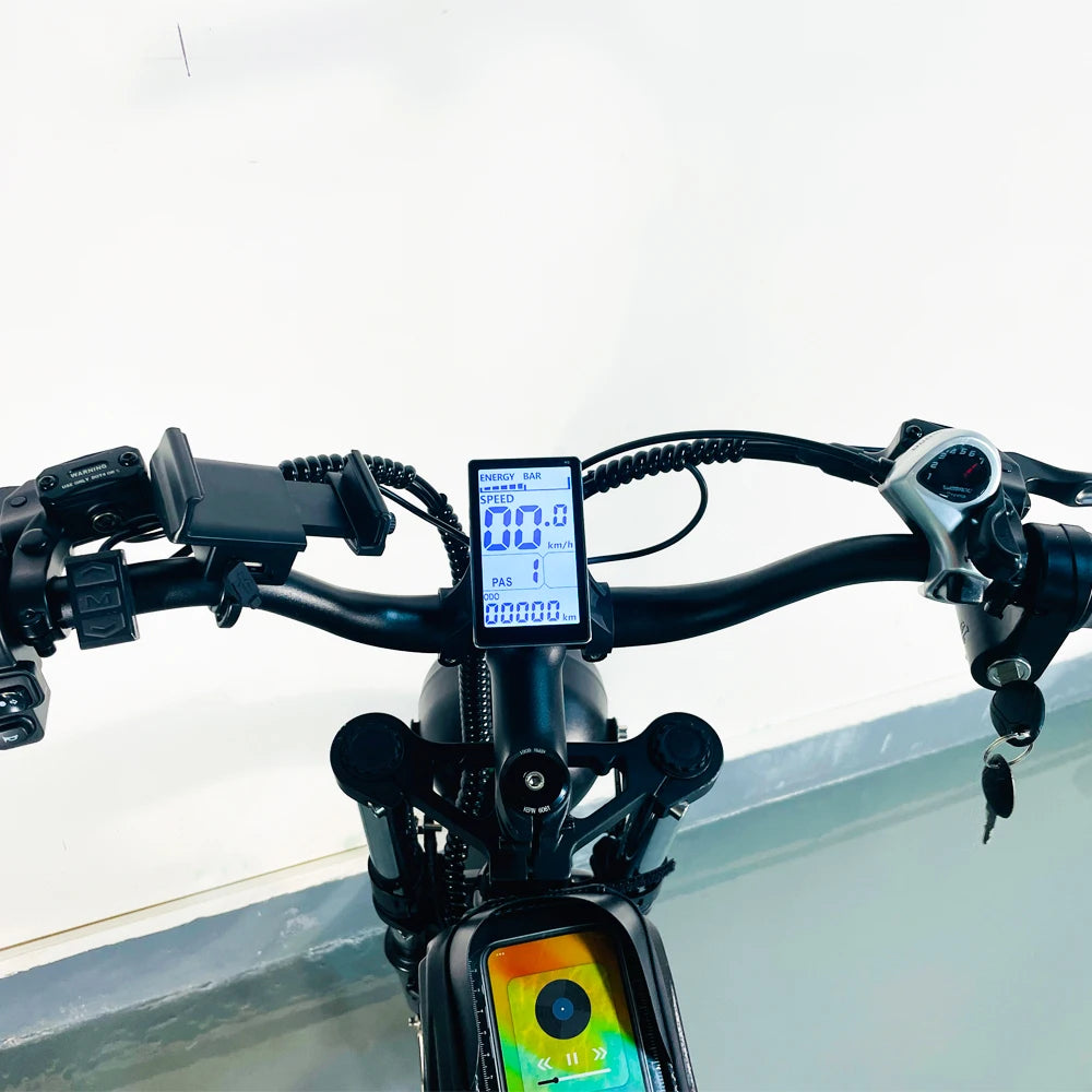 YVY Electric Bike for Adults 1200W 48V 15.6Ah Teens Off-road Touring City Trail 20*4 Inch Fat Tire Snow City Commuter EBike