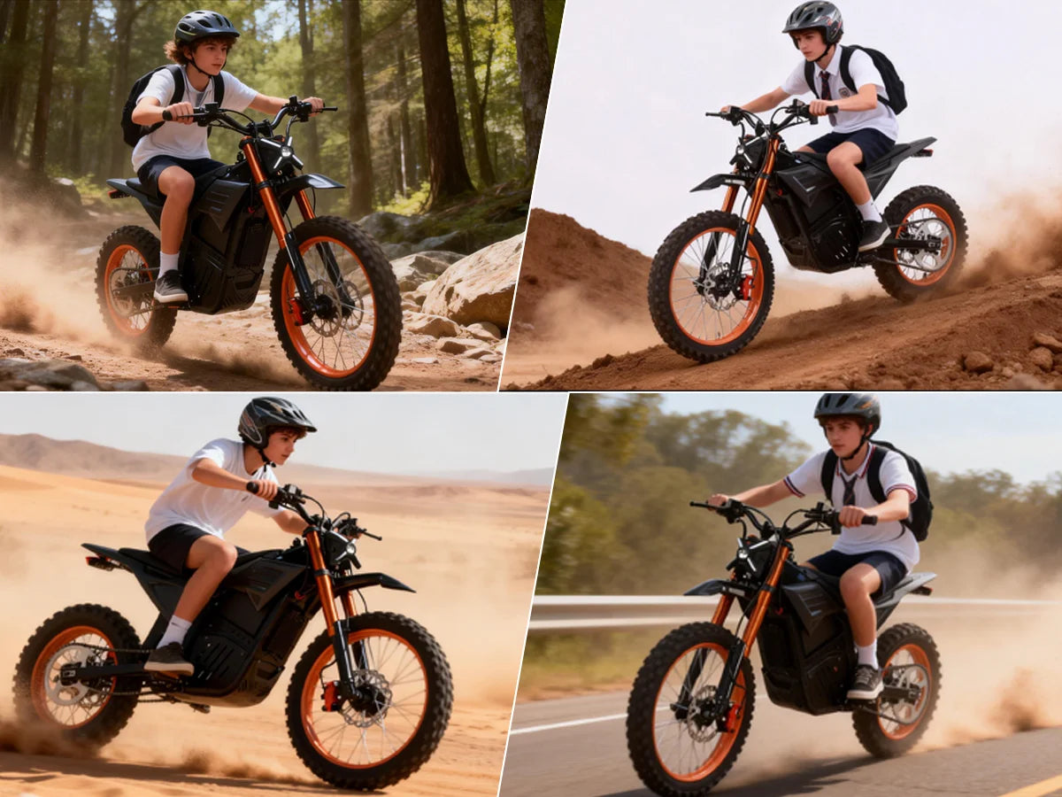 Electric Motorcycle 3000W, EBIKE,48V 20AH Battery, 60km/h, Oil Brake, Max Load 130KG