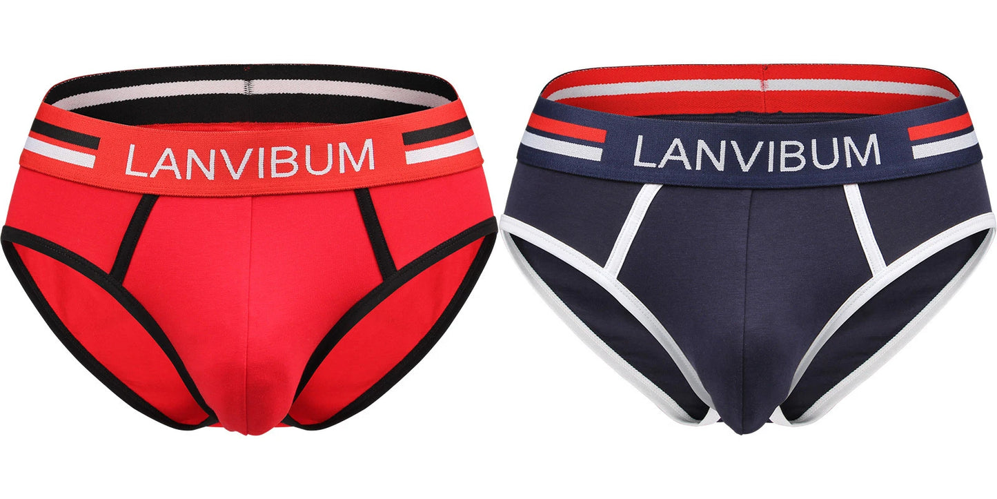 2-piece set - cotton men's underwear briefs breathable youth mid-waist large-size men's underwear underwear summer briefs