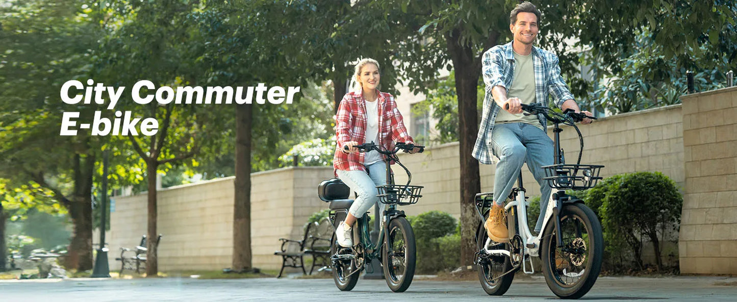 DYU C9 Electric Bicycle Peak 1000W Motor 48V15.6AH Lithium Battery Electric Bike Hydraulic Brake 20*3.0 Inch Fat Tire E-bike