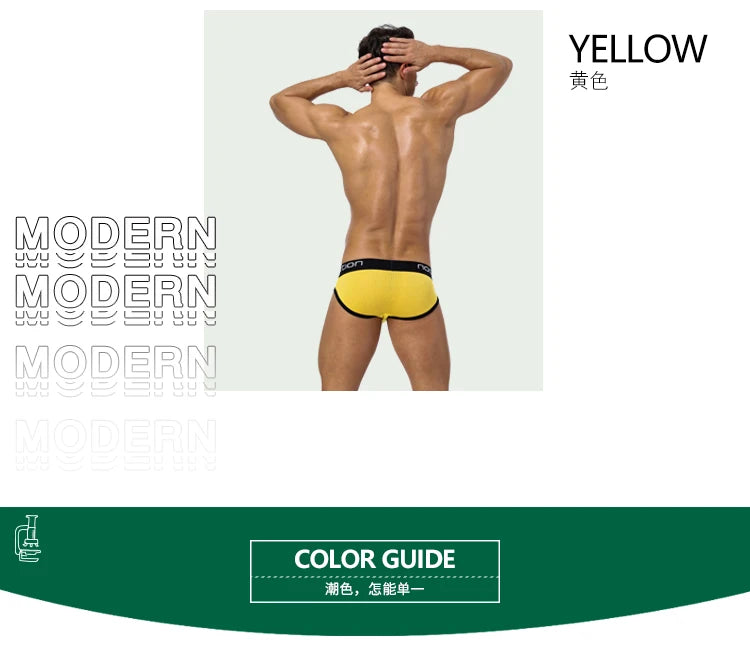 Men Underwear Mesh Qucik-Dry Sexy Men Briefs Breathablen Men Slip Cueca Male Panties Underpants Briefs Spring Summer