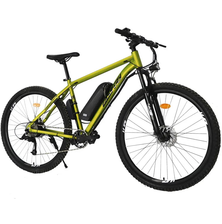 Electric Mountain Bike Electric Bicycle New Design China Factory E Bike 48v 750w 26 Inch Steel Lithium Battery Rear Hub Motor