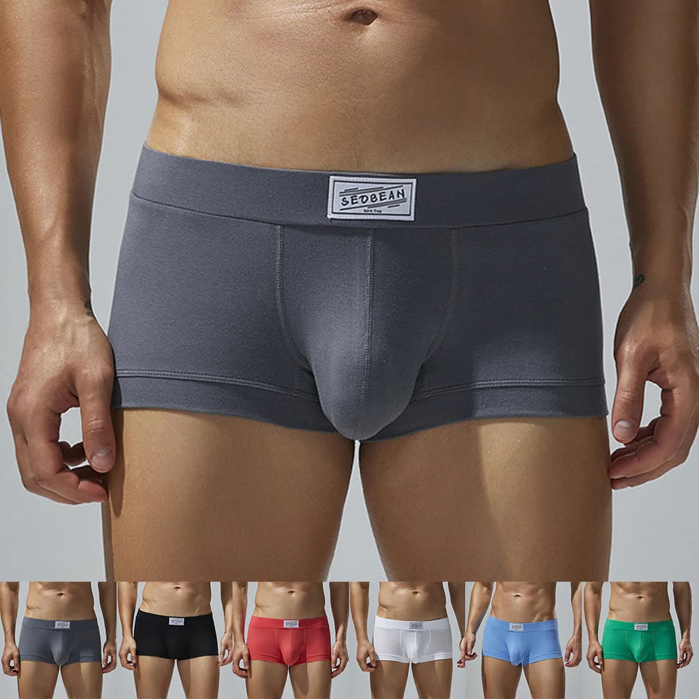 Men Sexy Underwear Boxer Briefs Comfortable Breathable Low Rise Intimates Hot Stretch Male Boxershorts Teenage Underpants