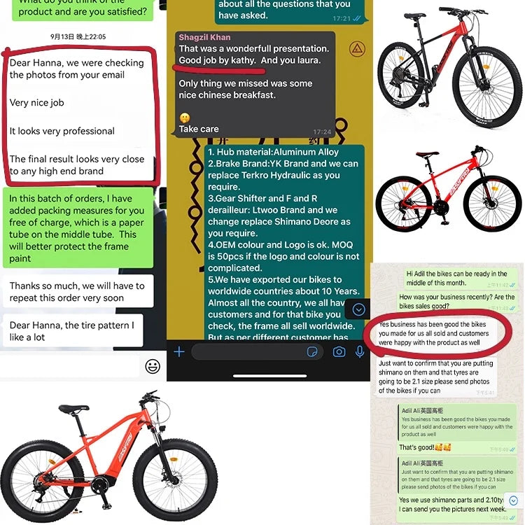 Electric Mountain Bike Electric Bicycle New Design China Factory E Bike 48v 750w 26 Inch Steel Lithium Battery Rear Hub Motor