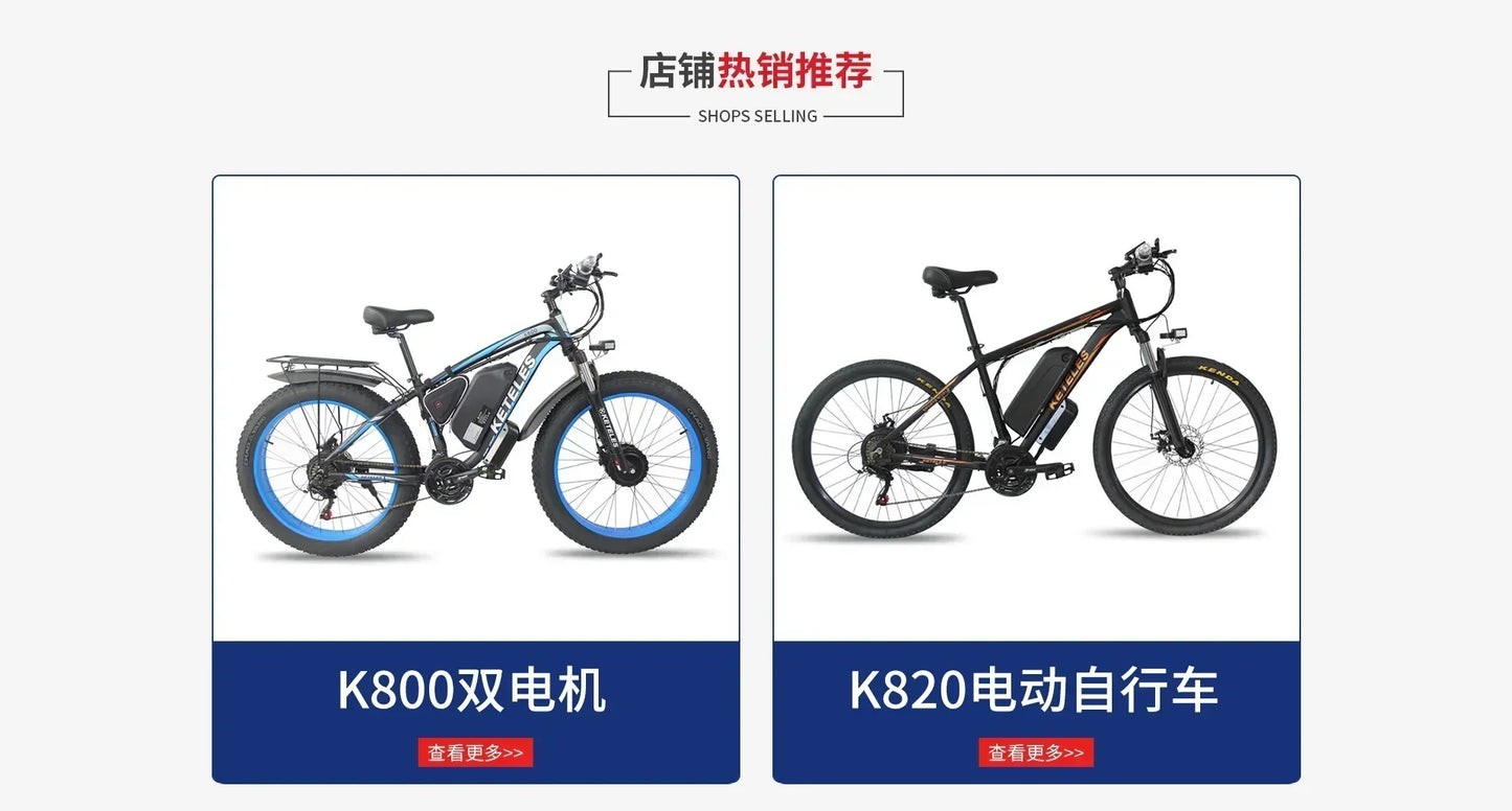 Y Motorcycle for Adult 2000W Dual Motor 48V 23AH Fat Tire Hydraulic Brake Soft Tail Frame Hydraulic Big Front Fork Ebike
